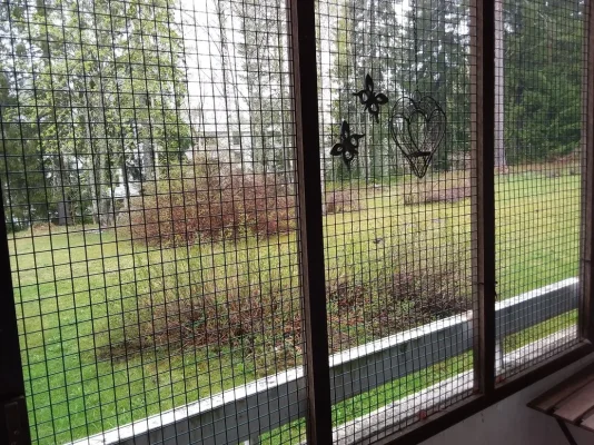 20190511_133655.webp 20190511_133655.webp