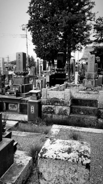 33854962-4EC8-4281-9114-4A56DEFCD0C0.webp 33854962-4EC8-4281-9114-4A56DEFCD0C0.webp