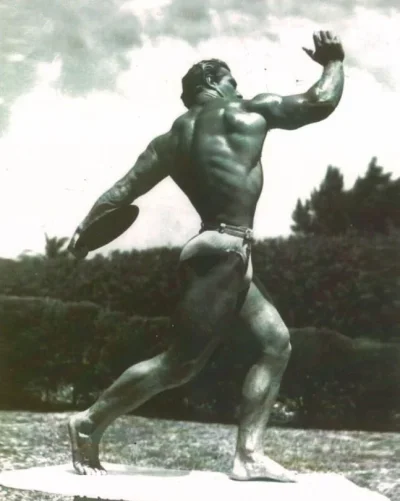 discus.webp discus.webp