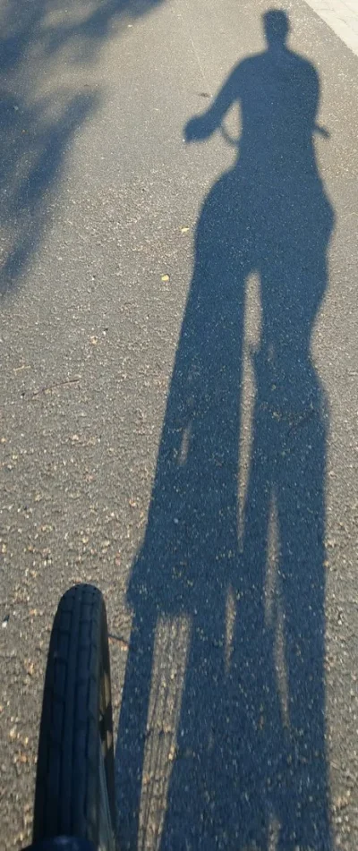 IMG_20190725_194639.webp IMG_20190725_194639.webp