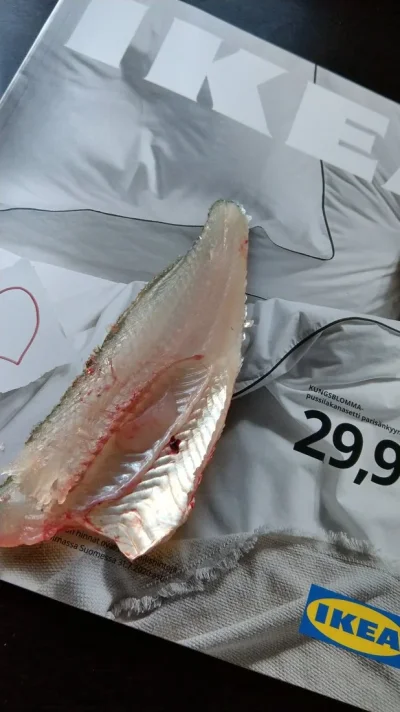 IMAG2761.webp IMAG2761.webp