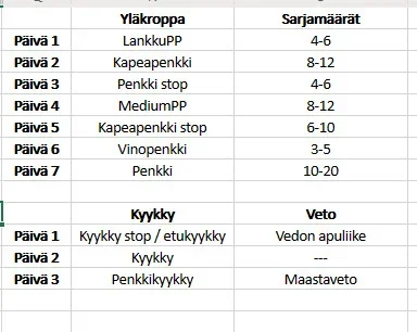 treeni.webp treeni.webp