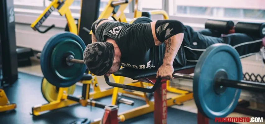 800_2462-1024x481.webp 800_2462-1024x481.webp