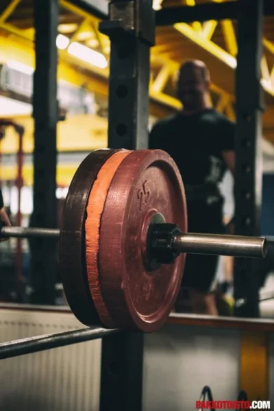 800_2520-684x1024.webp 800_2520-684x1024.webp