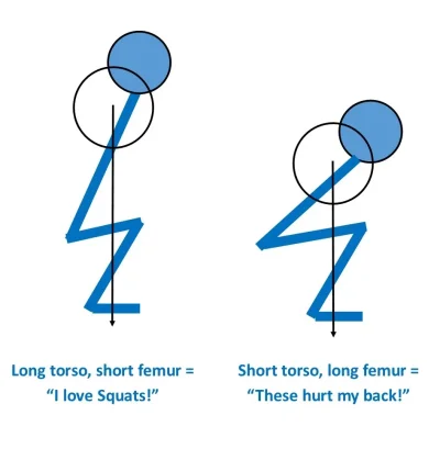 squats long vs short torso cropped.jpg
