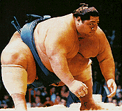 konishiki3.gif konishiki3.gif