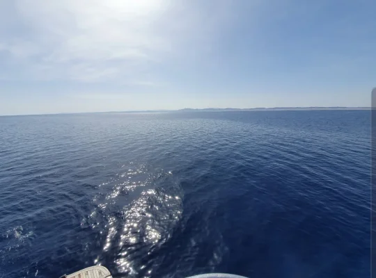 Screenshot_20191126-122008_Gallery.webp Screenshot_20191126-122008_Gallery.webp