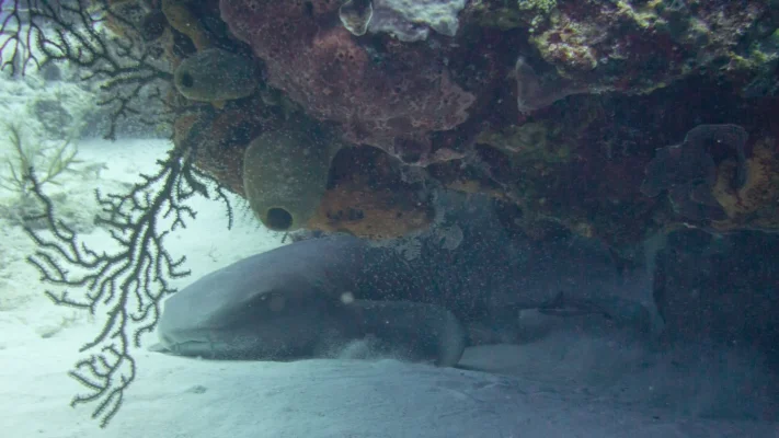 1-P6061041.webp 1-P6061041.webp