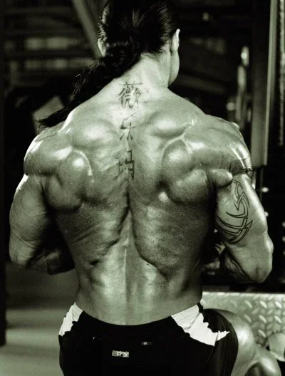 Joulukuusi selässä.webp