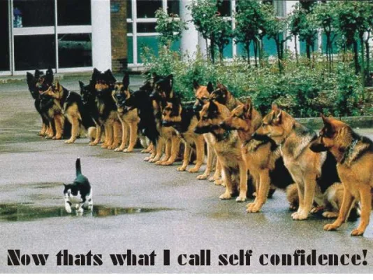 self-confidence.webp