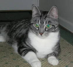 P1280pakkiksell2.webp P1280pakkiksell2.webp