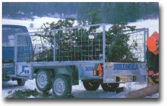 jullikka2.webp