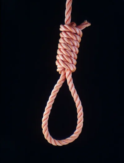 hangmans-noose.webp