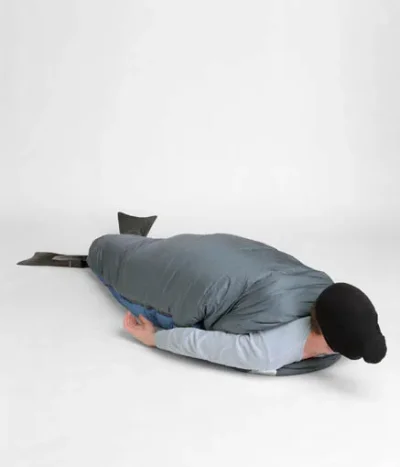 eläimiä hylje.webp