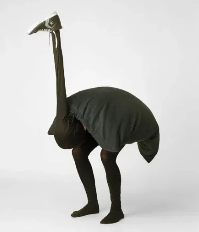 eläimiä strutsi.webp