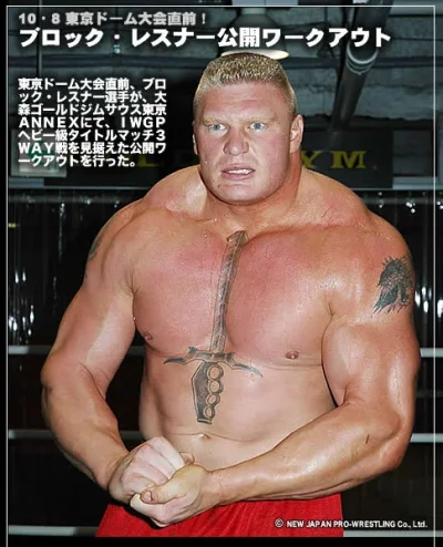 Brock Lesnar.webp