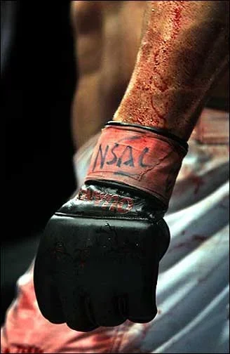 fightsvitor3_max6.webp