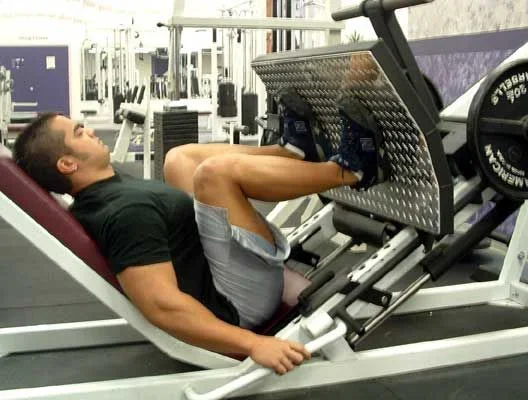 Leg Press.webp