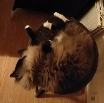 IMG_20200112_142906.webp IMG_20200112_142906.webp