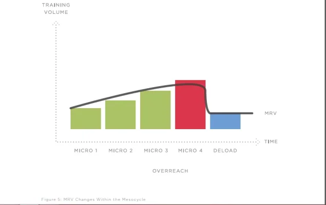 8-pic-e1446120137512.webp 8-pic-e1446120137512.webp