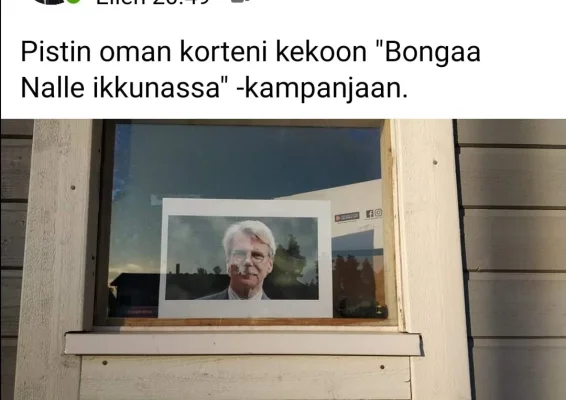 nalle ikkunassa.webp