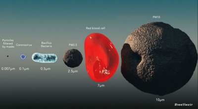 particle-size-of-coronavirus-and-pm2.5-and-masks.jpg