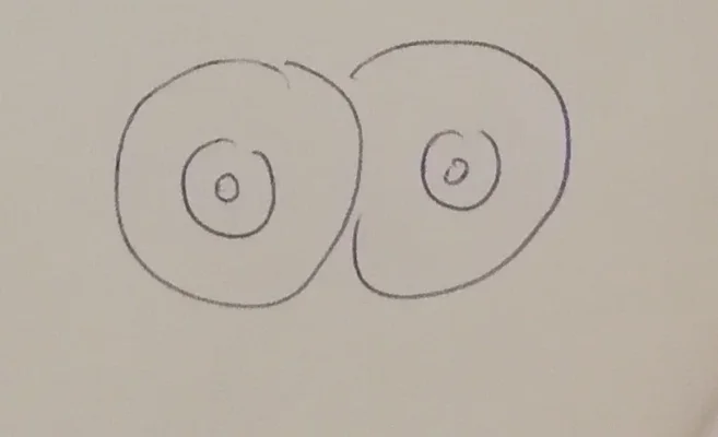 IMG_20200415_192929.webp IMG_20200415_192929.webp