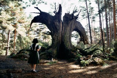 pans-labyrinth-2006-047-girl-weird-tree-00n-ndi.jpg