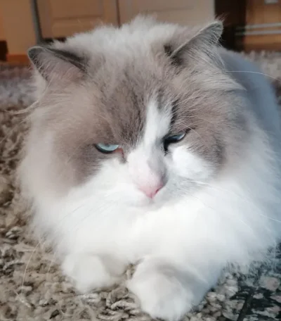 IMG_20200727_205443.webp IMG_20200727_205443.webp