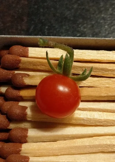 IMAG4721_copy_2250x3176.jpg IMAG4721_copy_2250x3176.jpg