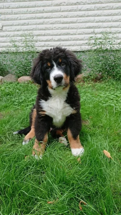 DSC_0152.webp DSC_0152.webp