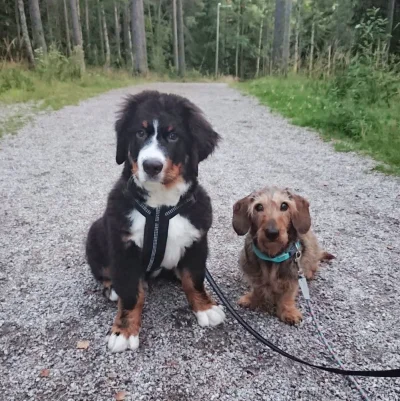 IMG-20200813-WA0001.jpg IMG-20200813-WA0001.jpg