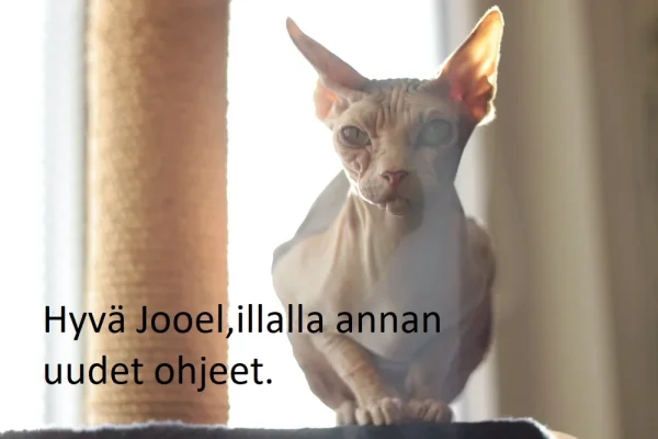 master.webp master.webp