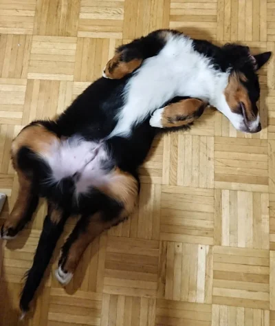 DSC_0207-01.webp DSC_0207-01.webp