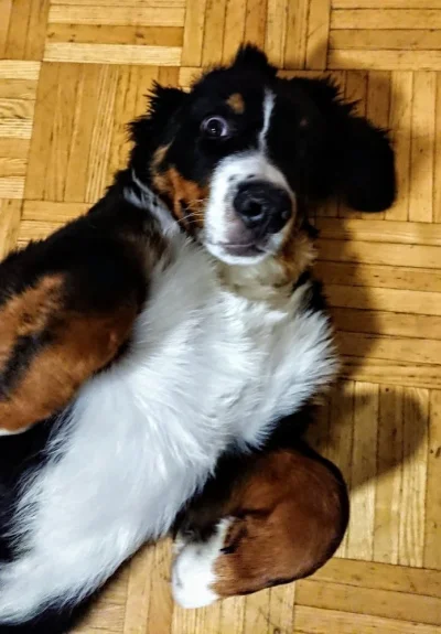 DSC_0206-01.webp DSC_0206-01.webp