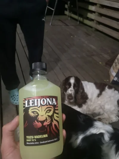 IMG_20200925_200642.webp IMG_20200925_200642.webp