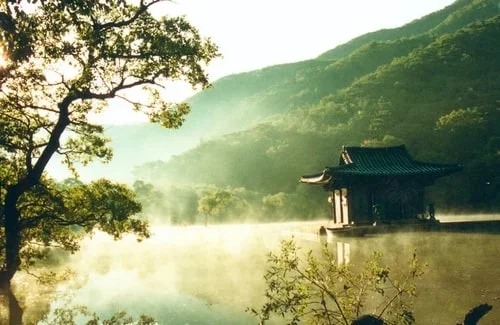 500full (6).jpg 500full (6).jpg