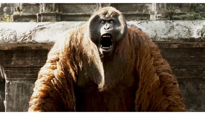 maxresdefault (1)wf.webp maxresdefault (1)wf.webp