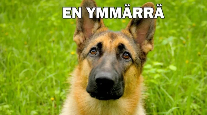 Dvgzk4YWoAA20pv.webp Dvgzk4YWoAA20pv.webp