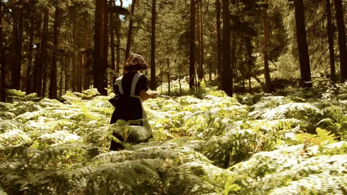 EBDh0UFXUAAM9__.webp EBDh0UFXUAAM9__.webp