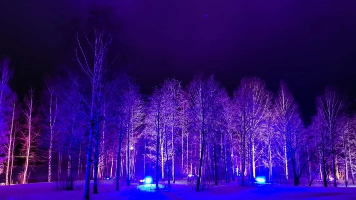 PSX_20210314_140921.jpg PSX_20210314_140921.jpg