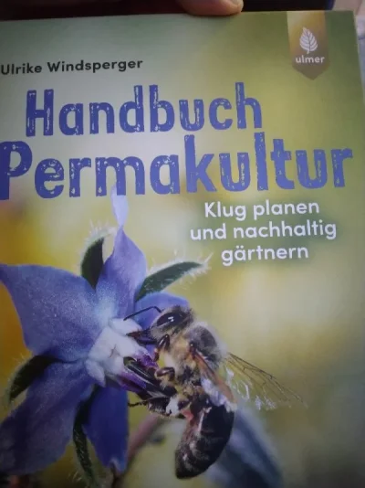 IMG_20210320_182544_resize_26 (1).webp