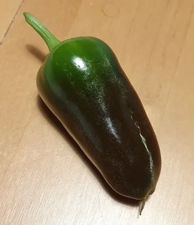 Screenshot_20210401-211449_QuickPic.webp Screenshot_20210401-211449_QuickPic.webp