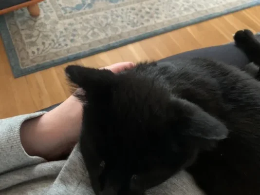 7133C587-C924-4C28-A3A8-007B7C608E02.jpeg 7133C587-C924-4C28-A3A8-007B7C608E02.jpeg