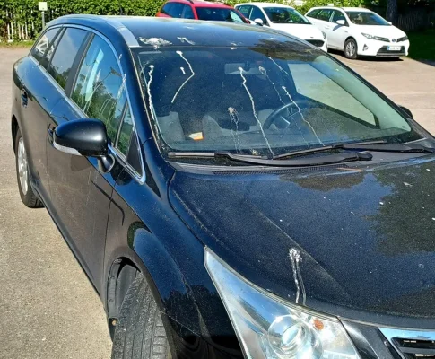 1622654563274.webp 1622654563274.webp