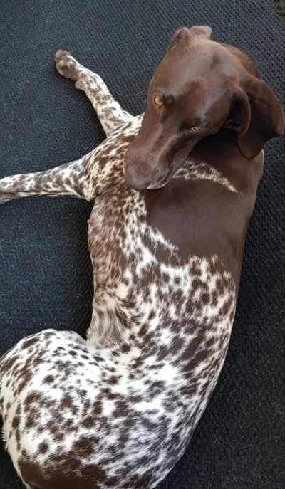 20210708_172907.webp 20210708_172907.webp