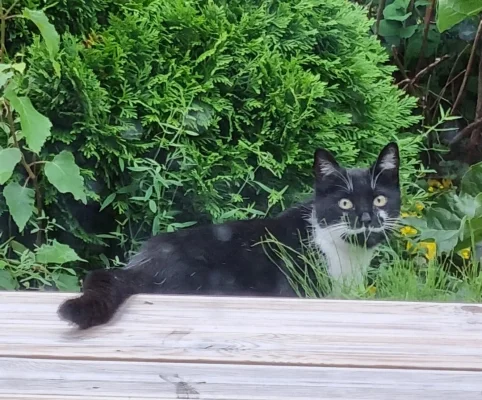 Screenshot_20210710-074003_QuickPic.jpg Screenshot_20210710-074003_QuickPic.jpg