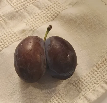 20210827_143227.webp 20210827_143227.webp