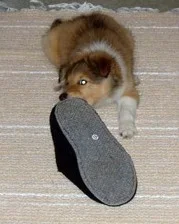 Kassu8 20.5.04_files.webp