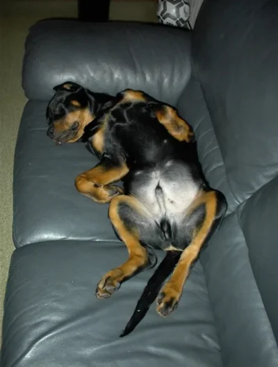 Copy of DSC00003.webp